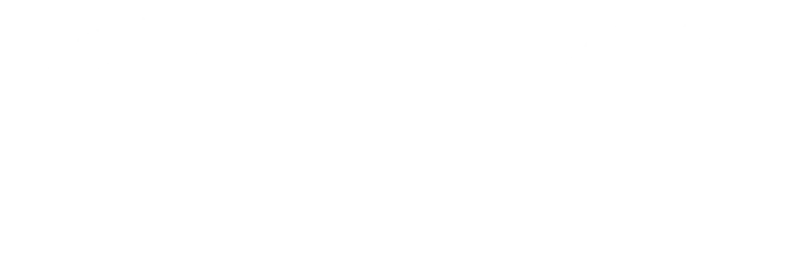 ISO and DNV Logos
